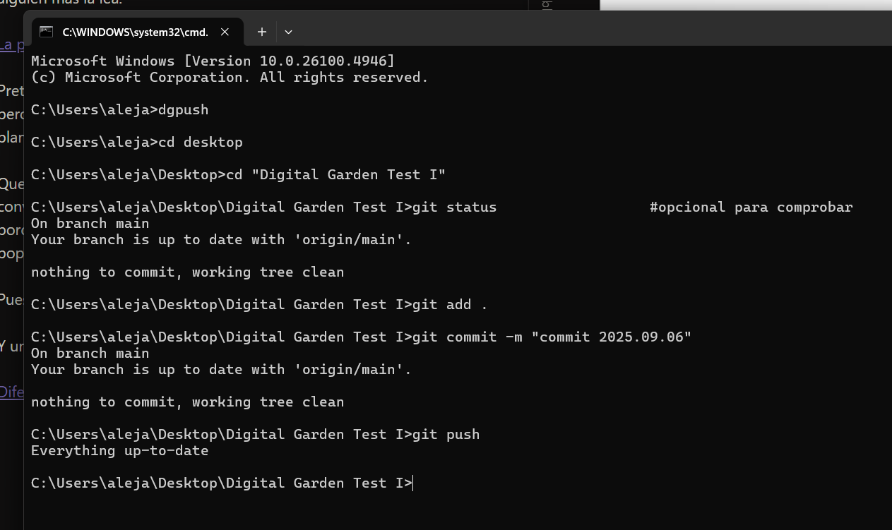 Pasted image 20250906005503.png